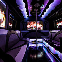 party bus for 30 passengers with dance poles and LED lights
