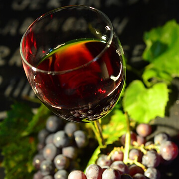 Wine tour